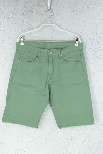 Carhartt - Shorts - Grün